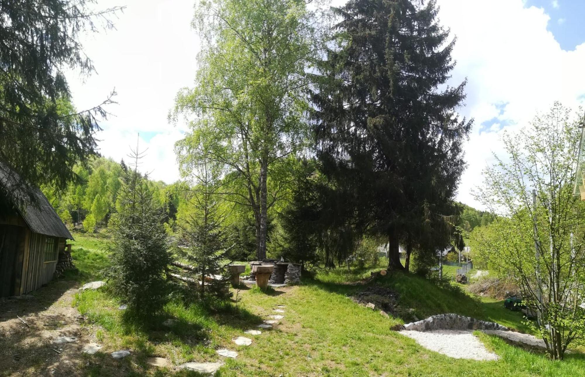 Casuta Dintre Brazi Rasca (Cluj)