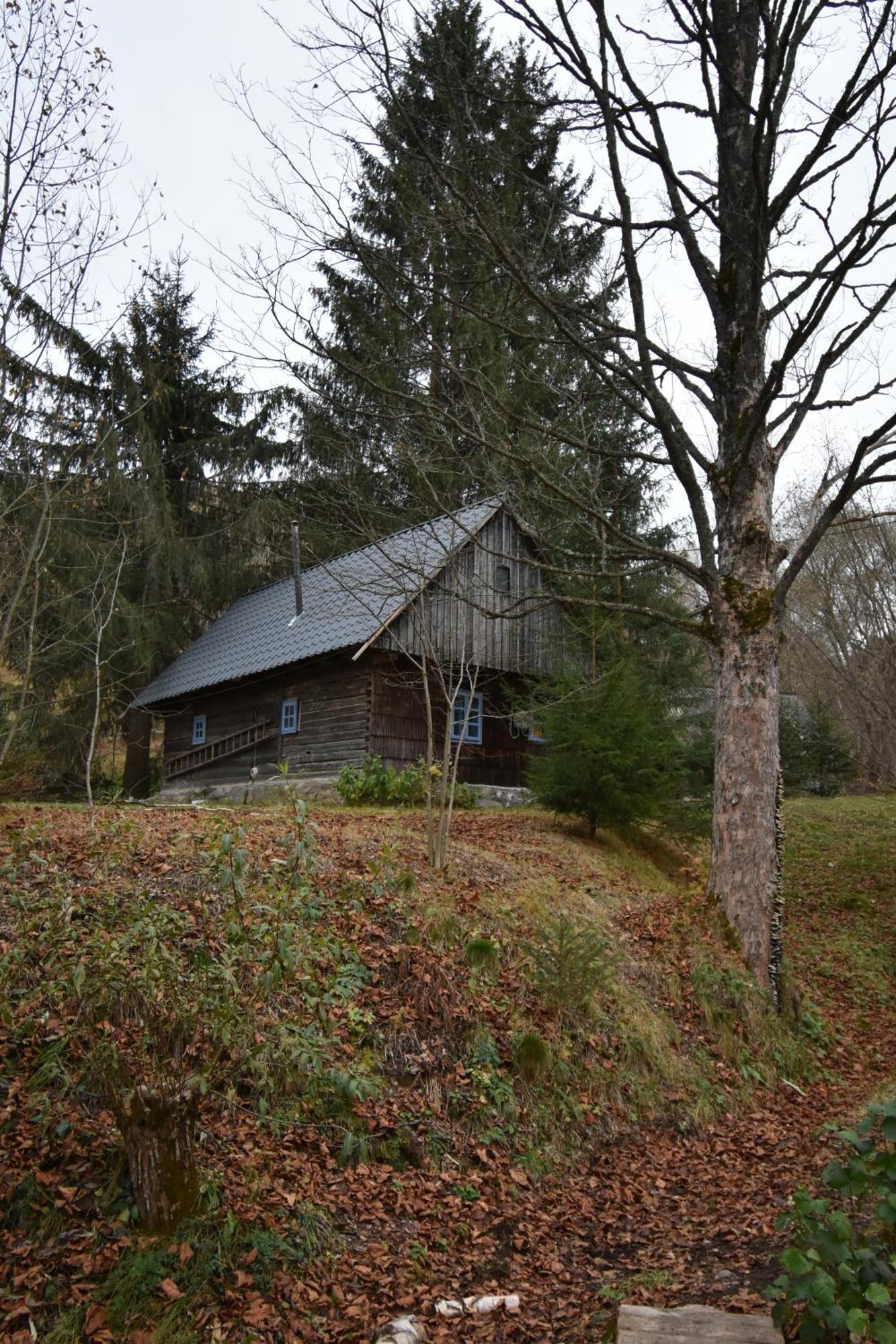 Casuta Dintre Brazi Chalet