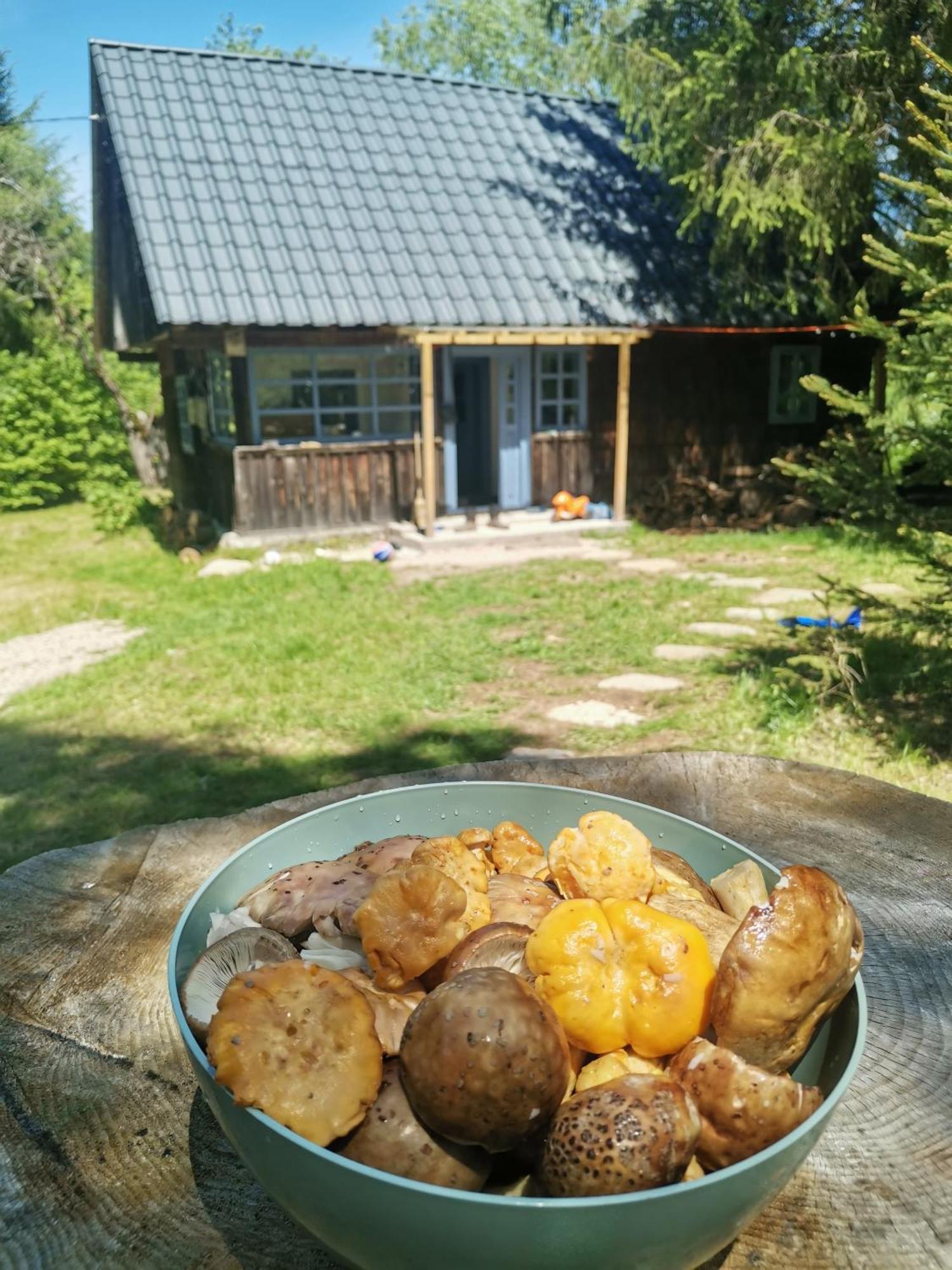 Chalet Casuta Dintre Brazi