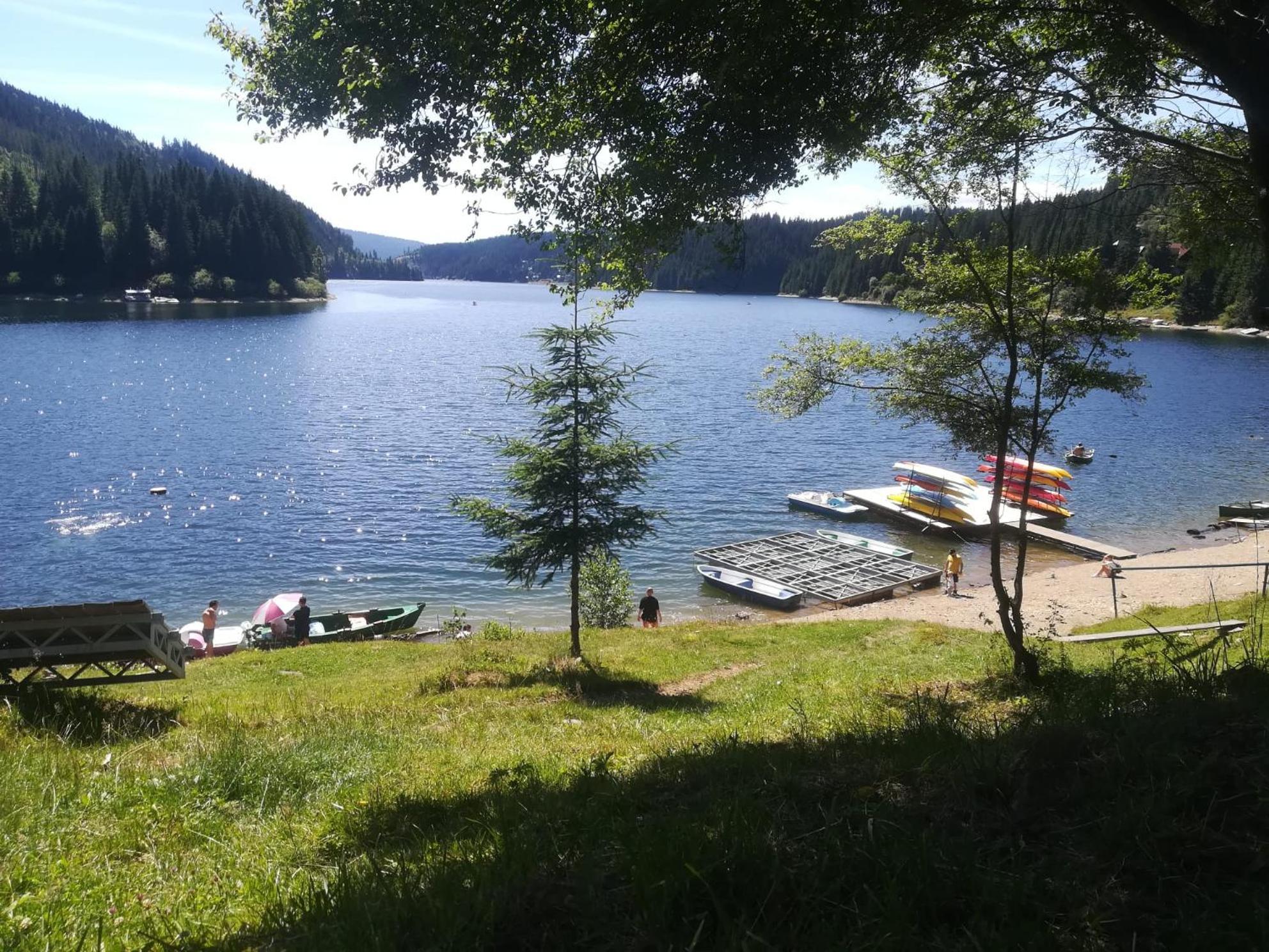 Casuta Dintre Brazi Chalet