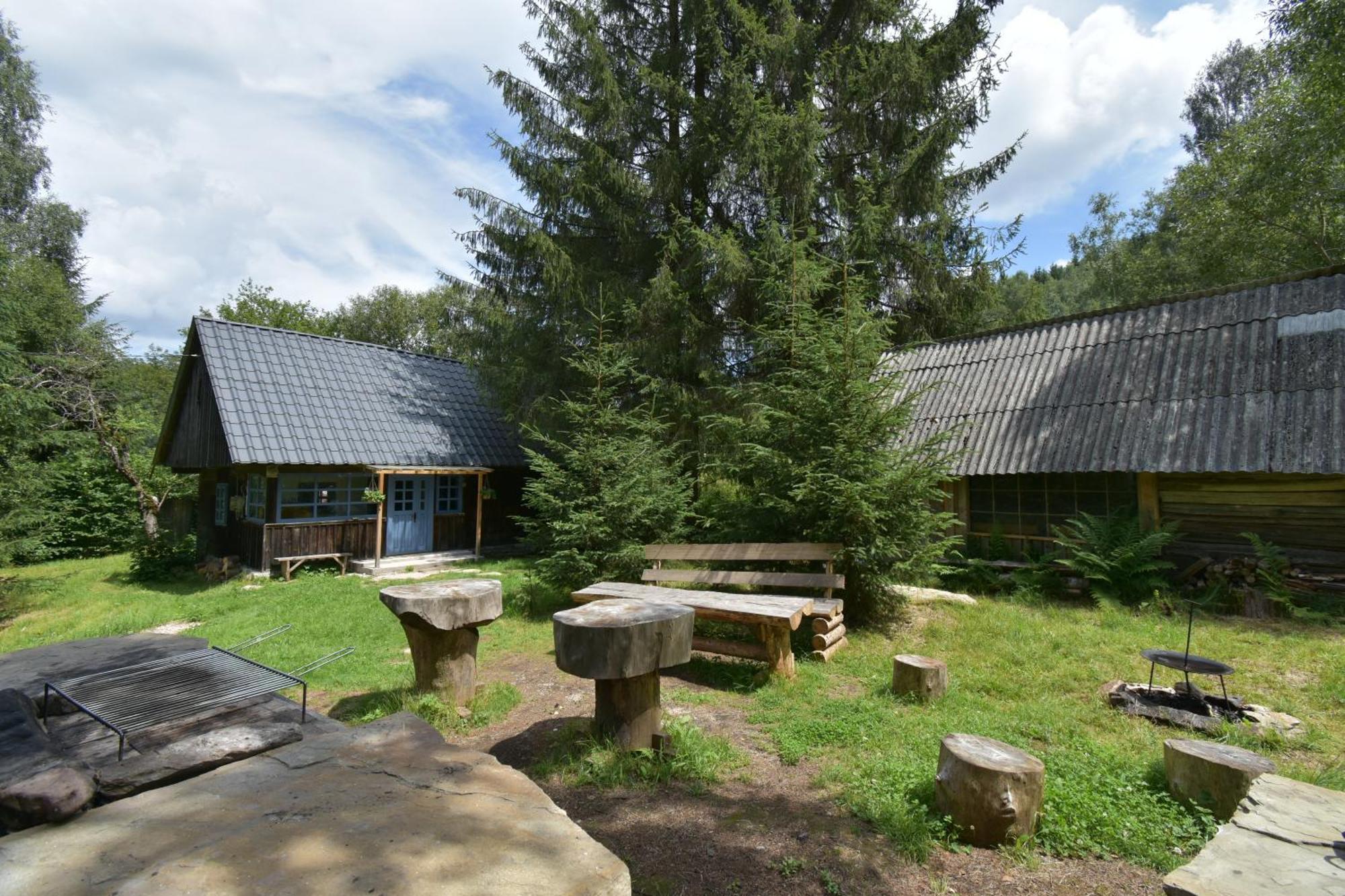 Chalet Casuta Dintre Brazi *