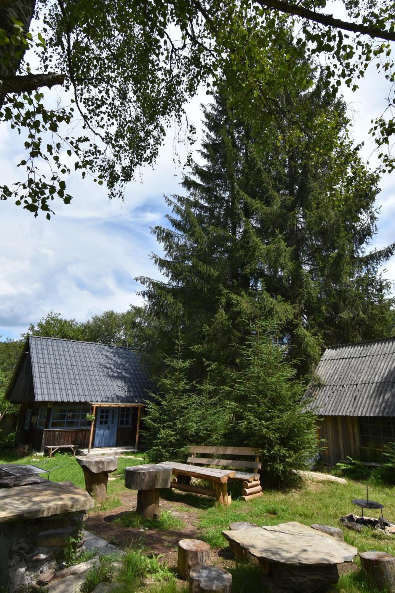 Chalet Casuta Dintre Brazi Rasca (Cluj)