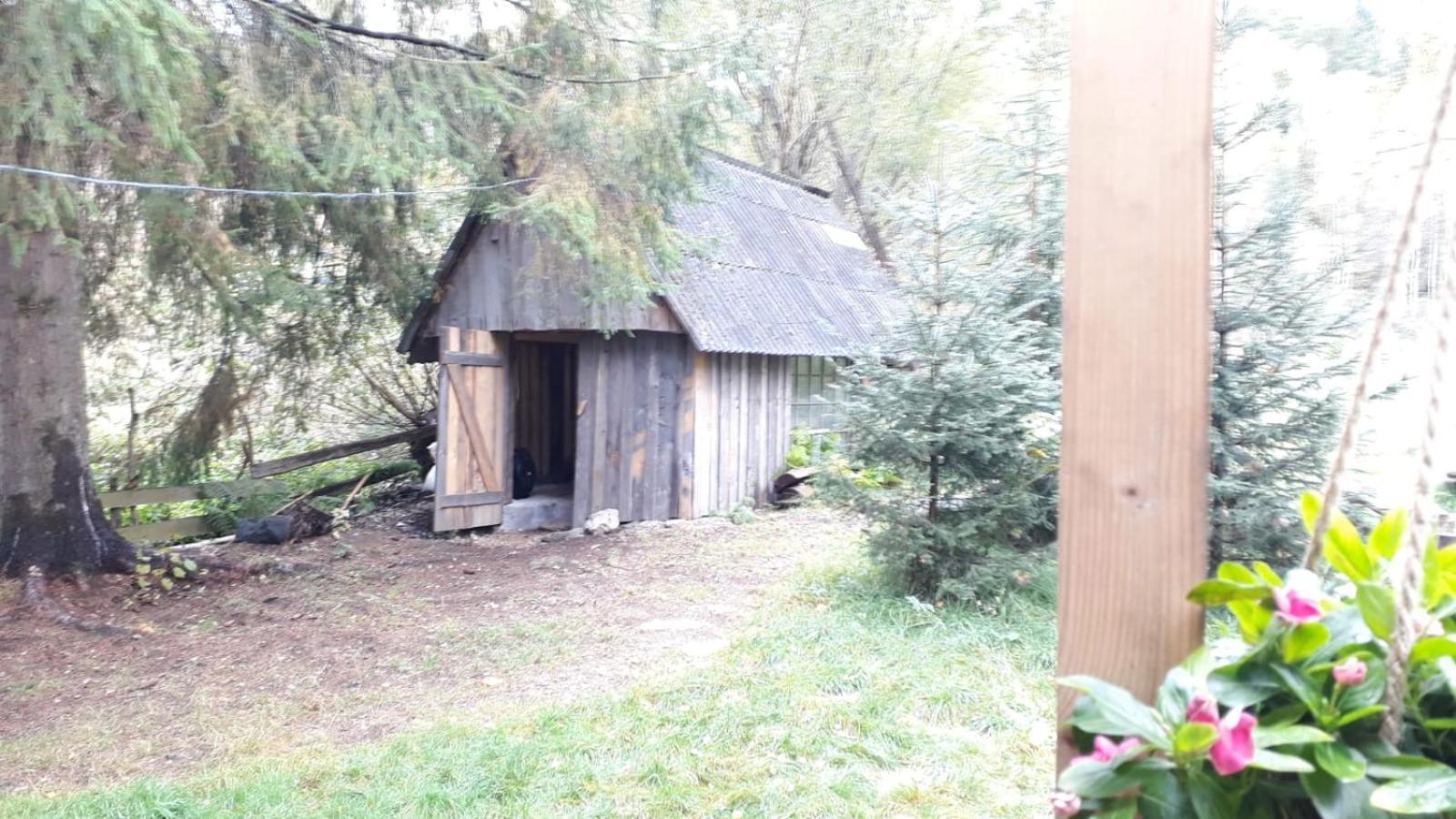 Casuta Dintre Brazi Chalet