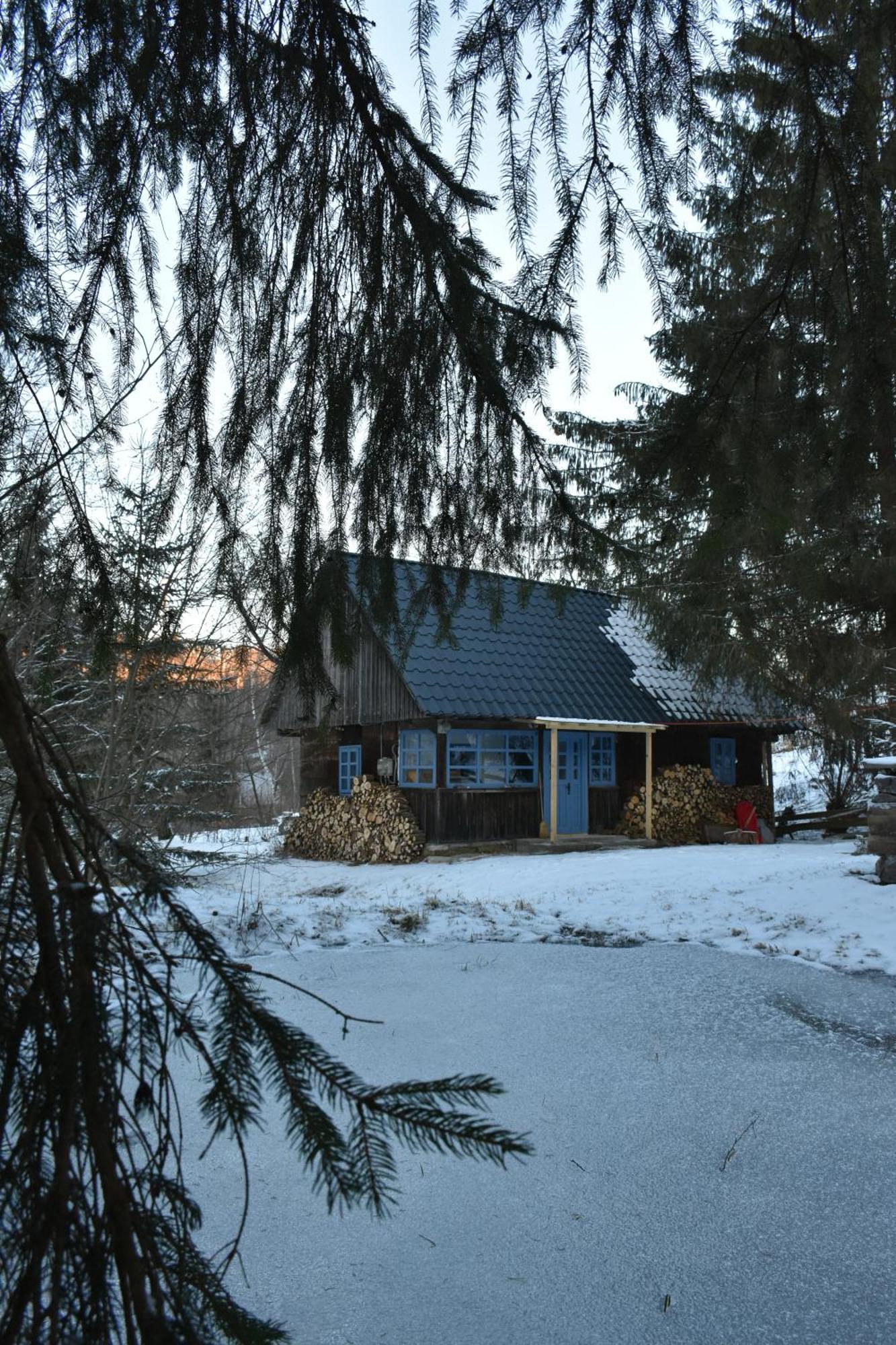 Chalet Casuta Dintre Brazi
