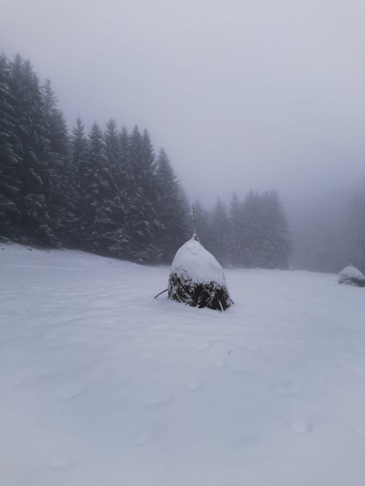 Chalet Casuta Dintre Brazi Rasca (Cluj)